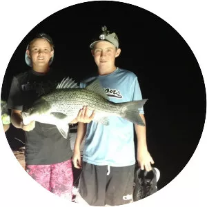 Newcastle Reservoir - Reservoir in Utah