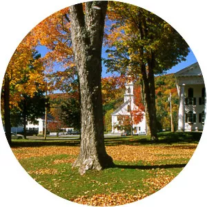 Newfane - Town in Vermont