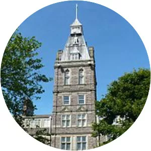 Newport Market - Market in Newport, Wales