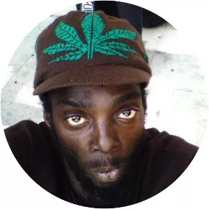 Newtrament - Musician