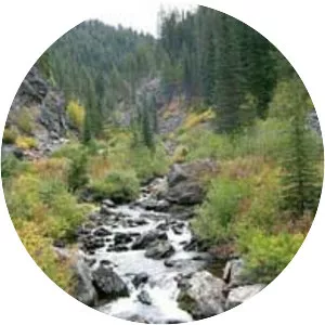 Nez Perce National Forest - 