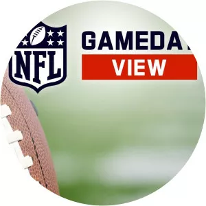 NFL GameDay ViewSince 2019