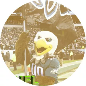 NFL Network Postgame ShowSince 2019 - TV program