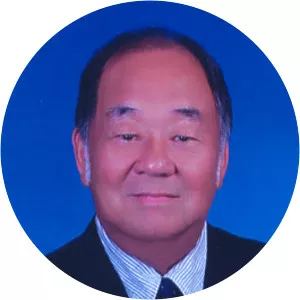 Ng Chiang Chin - Politician