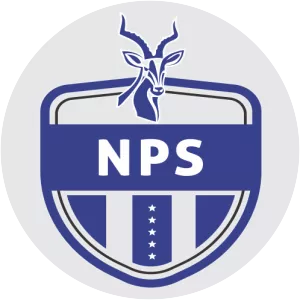 Ngezi Platinum F. C. - Football club