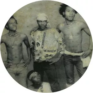 Ngozi Family - Musical band