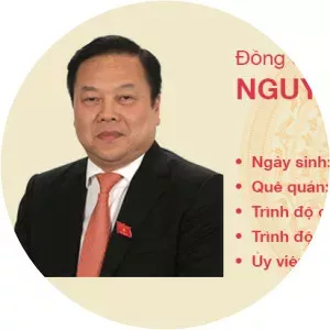Nguyen Hoang Anh - Politician