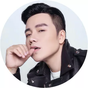 Nguyen Hoang Nam - Musical artist
