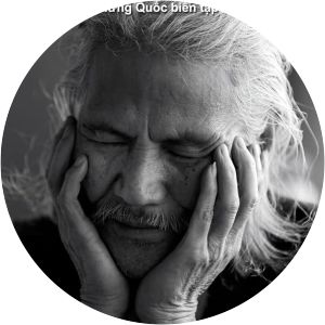 Nguyen Hung Quoc - Linguist