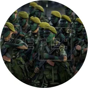 Nicaraguan Armed Forces