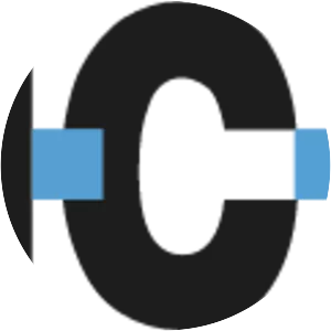 NICE Systems Ltd. - Company