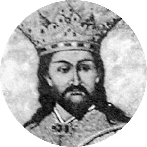 Nicholas Alexander of Wallachia - Ruler