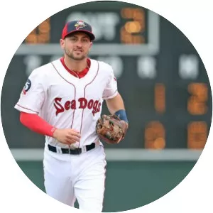 Nick Lovullo - Baseball player