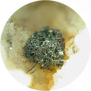 Nickel sulfide - Chemical compound