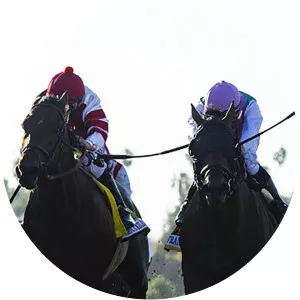 Nicky Martin's Cheltenham DreamSince 2021 - TV program