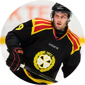 Niclas Andersén - Ice hockey defenceman
