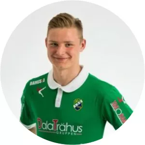 Niclas Holgersson - Football player