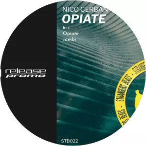 Nico Cerban - Musical artist