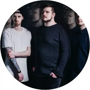 Nico Schiesewitz - Musical artist