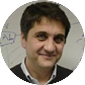 Nicola Cetorelli - Economist