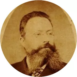 Nicola D'Arienzo Musician