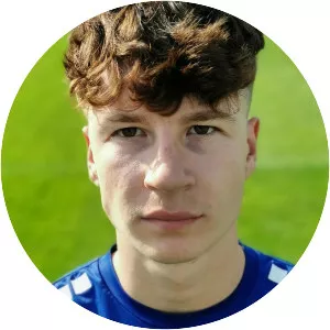 Nicola Magdelinic - Football player