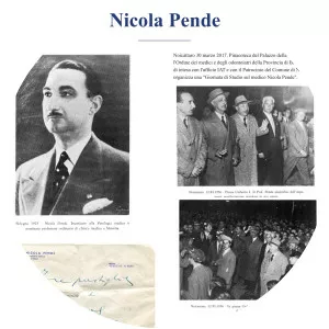Nicola Pende