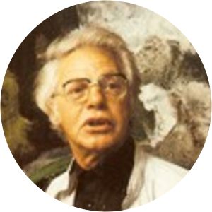 Nicolaas Ferdinand Molenkamp