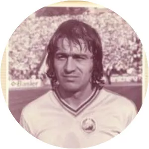Nicolae Negrilă - Romanian footballer