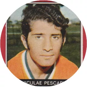 Nicolae Pescaru