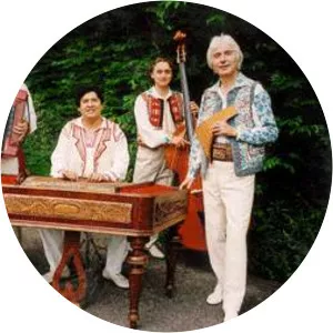 damian luca nicolae pirvu - Musical artist