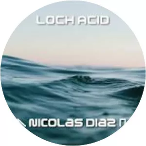 Nicolás Díaz - Chilean football player