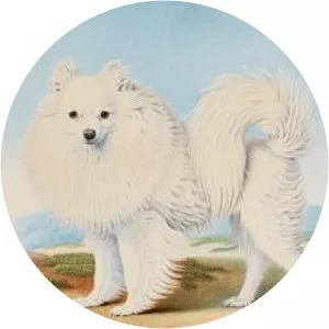 Nicolas Huet the Younger