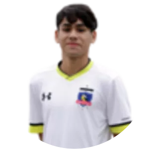 Nicolás Ignacio Aravena García