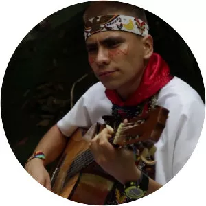 Nicolás Losada - Musical artist