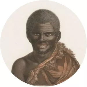 Nicolas-Martin Petit