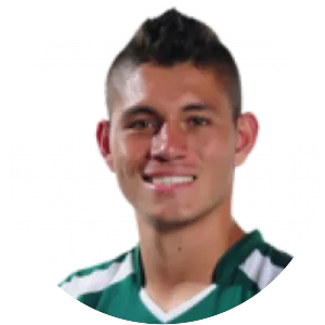 Nicolás Steven Roa Reyes