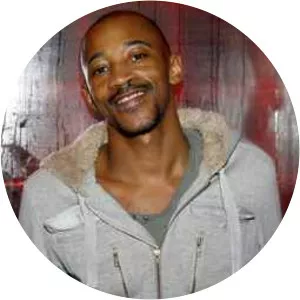 Nicolas Voulzy Musician