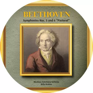 Nicolaus Esterházy Sinfonia - Musical artist