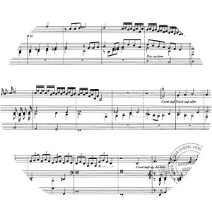 Nicolaus Hasse photograph