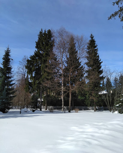 Nicolino - settlement - Housing development in Nikolino, Russia