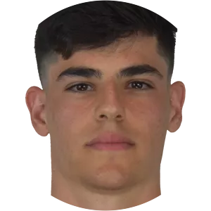 Nicolo Mikael Avellino