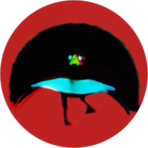 Nicolò Ricci - Musical artist