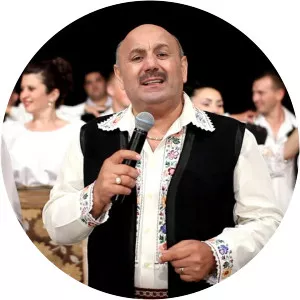 Nicu Novac - Musical artist