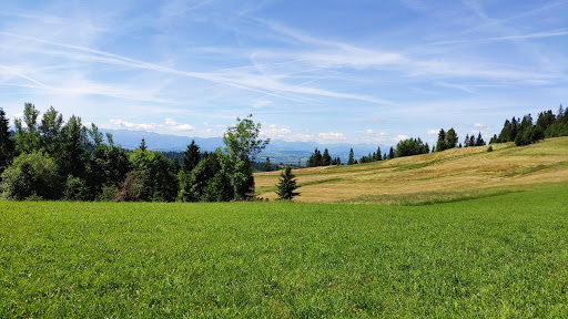 Niebieski szlak - tablica informacyjna - Scenic spot in Ponice, Poland