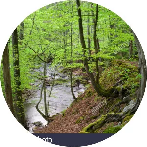 Niemetal - Municipality in Germany