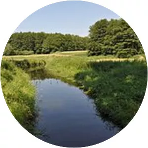 Niemica - River in Poland