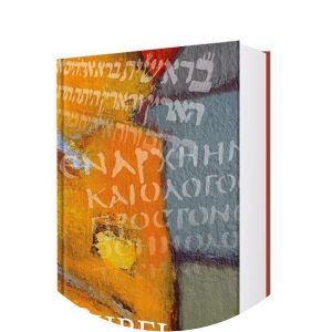 Nieuwe Bijbelvertaling - Book