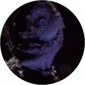 Night of the Scarecrow