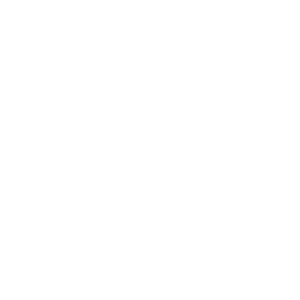 Night School Studio - Video game developer